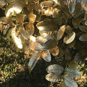 Meet your Posher, Beianna